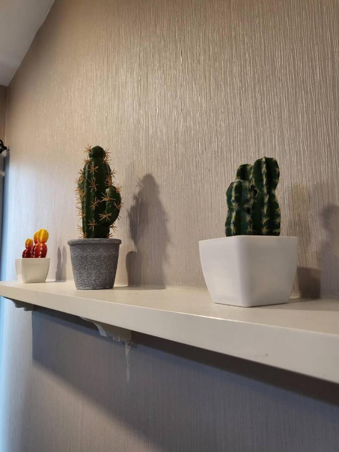 The Patio Appartement